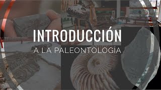 Introducción a la paleontología [upl. by Josiah]