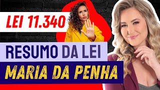 LEI MARIA DA PENHA  Lei nº 11340 Resumo [upl. by Sedruol704]