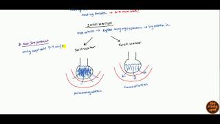 Drowning Pathophysiology and Management for USMLE [upl. by Gefen449]