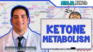 Metabolism  Ketone Metabolism [upl. by Furiya]