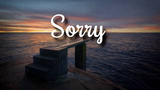 Justin Bieber  Sorry Lyrics Video [upl. by Ennad576]