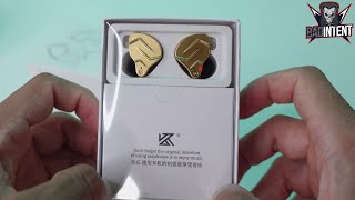 KZ ZSN Pro X Review [upl. by Anelaf827]