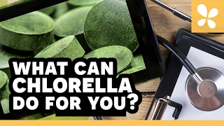 What Can Chlorella Do For You  Ask the ND with Dr Jeremy Wolf [upl. by Oos]