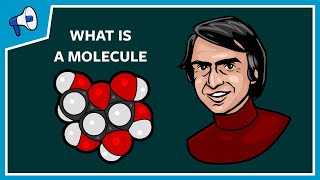 What Is a Molecule [upl. by Kilbride]