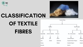 Classification of Textile Fibres Explained [upl. by Mollee685]