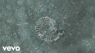 Ludovico Einaudi  Einaudi Fossils Official Visualiser [upl. by Adis815]