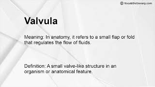 Valvula Meaning [upl. by Arrim54]