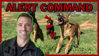 How to Train Your Dog to Alert on Command [upl. by Sharlene607]