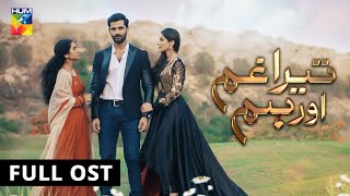 Tera Ghum Aur Hum  Full OST  HUM TV  Drama [upl. by Refinej]