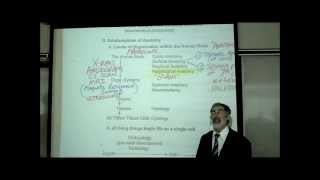 INTRO TO HUMAN ANATOMY by PROFESSOR FINK [upl. by Fidelity893]