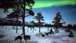 Aurora Borealis Kiruna in Swedish Lapland [upl. by Peer]