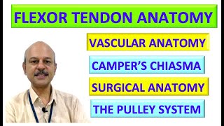 Finger flexor tendon injuries lacerations zones assessment [upl. by Irme]