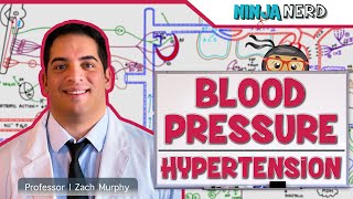 Cardiovascular  Blood Pressure Regulation  Hypertension [upl. by Ibbed]