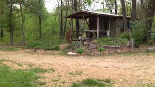 Our Permaculture homestead [upl. by Ainafetse116]