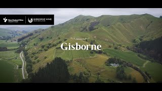 Gisborne Wine Region [upl. by Adnauqal]