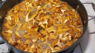 Cooking Chanterelle Mushrooms Dry sautéed method [upl. by Quillan]