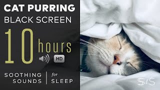 Cat Purring  10 Hours  Black Screen  Soothing Sounds Relax Study Calming [upl. by Amlas]