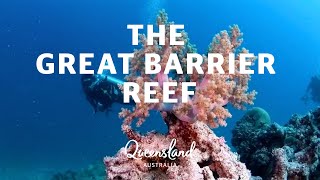 Everything you need to know about the Great Barrier Reef [upl. by Richma]