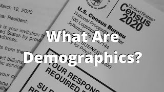 Demographics Explained What Are Demographics [upl. by Anaila887]