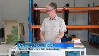 Library Mould Removal  How to Remove Mold from Books [upl. by Bach]