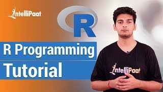 R Programming for Beginners  Intellipaat [upl. by Novar]