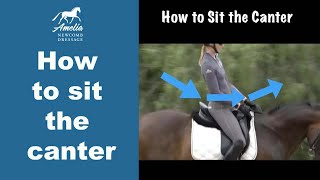 Canter Seat How to Sit the Canter [upl. by Elleirbag]