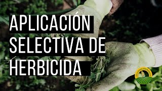 Aplicación selectiva de herbicida [upl. by Larok380]