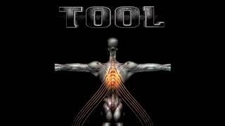 Tool  Salival Full Box Set [upl. by Giaimo990]