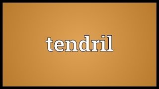 Tendril Meaning [upl. by Emerick]