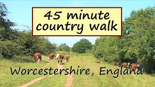 Walking In English Countryside On A Summers Day  Treadmill Workout Scenery [upl. by Naud888]