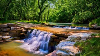 Welcome to Dogwood Canyon Nature Park [upl. by Treblihp663]