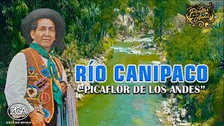 Picaflor de los Andes  RÍO CANIPACO [upl. by Nicoline211]