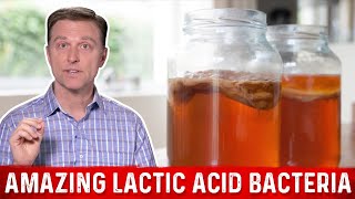 Lactic Acid Bacteria and Fermented Foods Benefits – DrBerg [upl. by Wira908]