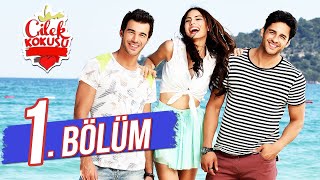 Çilek Kokusu 1 Bölüm FULL HD [upl. by Alaehcim]