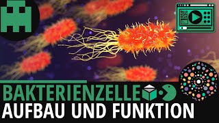 Bakterienzelle Aufbau │Biologie Lernvideo Learning Level Up [upl. by Hildegarde436]