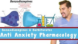 Anti Anxiety Pharmacology Benzodiazepines and Barbiturates [upl. by Hansiain38]