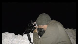 The Shooting Show  night Fox hunting with Mark Ripley AKA 260Rips [upl. by Bourn]