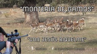 quot MONTERÍA DE GAMOS CON JESUS RIQUELME quot [upl. by Llerehs]