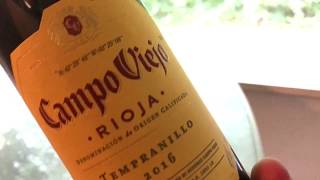 Campo Viejo Rioja Wine Review  Great Stuff [upl. by Eimmat]