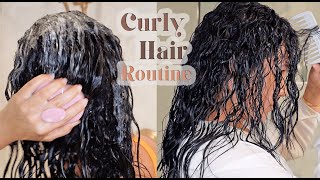 Beginners Curly Hair Routine starting my curly journey [upl. by Federica]