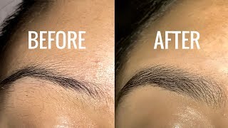 How To Grow Your Eyebrows [upl. by Byram]