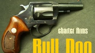 Charter Arms Bull Dog 44 Special [upl. by Kapeed]