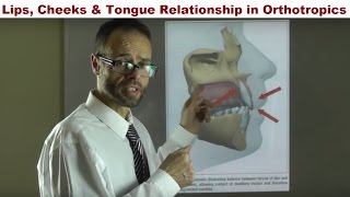 How Can Your Lips Cheeks and Tongue Straighten Your Teeth By Dr Mike Mew [upl. by Nangatrad285]