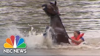 Woman Rescues Horse From Floodwaters  NBC News [upl. by Lehcyar539]