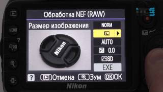 Обзор Nikon D3100 [upl. by Ardnovahs]