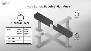 Elevated Plus Maze [upl. by Farmer176]