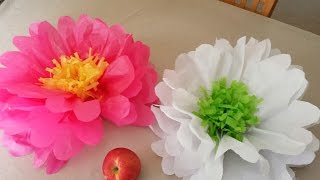 How to Make Tissue Paper Flowers [upl. by Renrew]