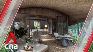 Singapores new Mandai ecoresort to open in 2023 [upl. by Karlik]