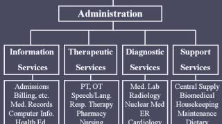 Hospital Organizational Structure [upl. by Beauchamp]