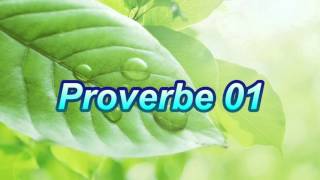 Proverbe 01 [upl. by Harmon]